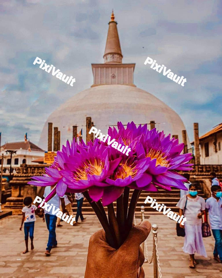 A person holding a purple bouquet